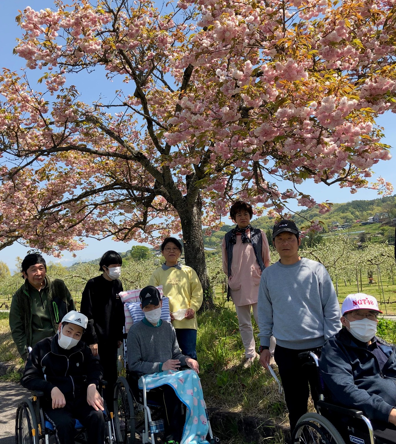 今田平へ八重桜を見にいきました